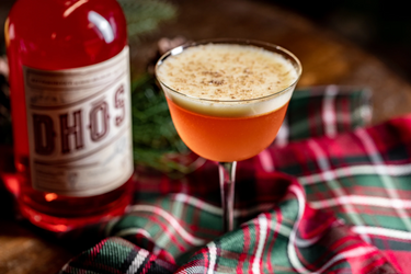 Photo of Dhos Bittersweet Cocktail